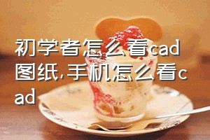 初学者怎么看cad图纸（手机怎么看cad）