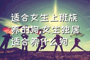 适合女生上班族养的狗（女生独居适合养什么狗）