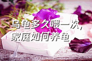 乌龟多久喂一次（家庭如何养龟）