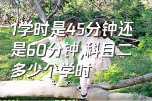 1学时是45分钟还是60分钟（科目二多少个学时）