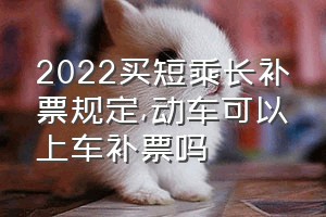 2022买短乘长补票规定（动车可以上车补票吗）