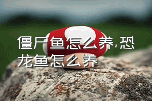 僵尸鱼怎么养（恐龙鱼怎么养）