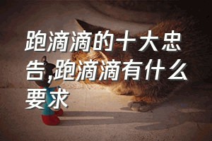 跑滴滴的十大忠告（跑滴滴有什么要求）