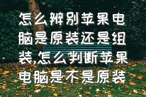 怎么辨别苹果电脑是原装还是组装（怎么判断苹果电脑是不是原装）