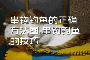 串钩钓鱼的正确方法图（串钩钓鱼的技巧）