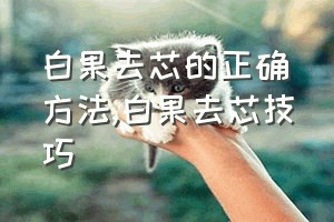 白果去芯的正确方法（白果去芯技巧）