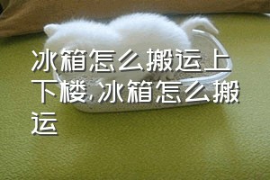 冰箱怎么搬运上下楼（冰箱怎么搬运）