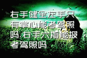 右手健全左手只有掌心能考驾照吗（右手六指能报考驾照吗）