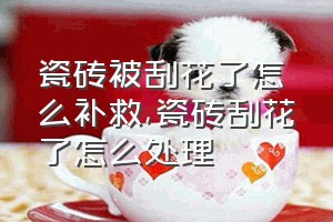 瓷砖被刮花了怎么补救（瓷砖刮花了怎么处理）