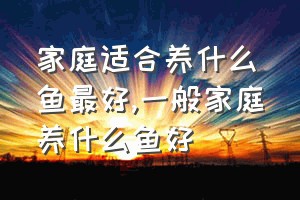 家庭适合养什么鱼最好（一般家庭养什么鱼好）