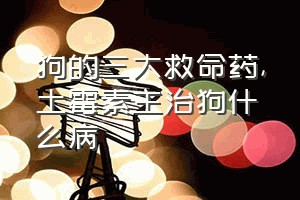 狗的三大救命药（土霉素主治狗什么病）