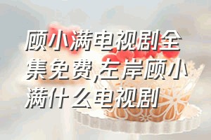 顾小满电视剧全集免费（左岸顾小满什么电视剧）