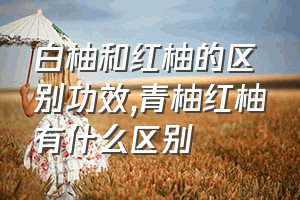 白柚和红柚的区别功效（青柚红柚有什么区别）