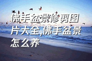 佛手盆景修剪图片大全（佛手盆景怎么养）