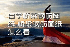 自学桥梁钢筋图纸（桥梁钢筋图纸怎么看）