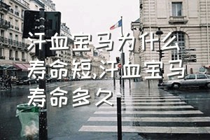 汗血宝马为什么寿命短（汗血宝马寿命多久）