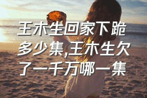 王木生回家下跪多少集（王木生欠了一千万哪一集）