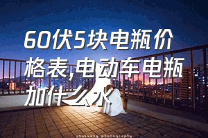 60伏5块电瓶价格表（电动车电瓶加什么水）