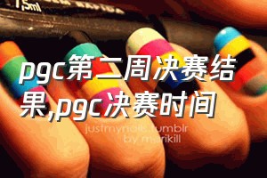 pgc第二周决赛结果（pgc决赛时间）