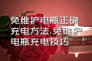 免维护电瓶正确充电方法（免维护电瓶充电技巧）