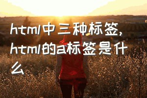 html中三种标签（html的a标签是什么）