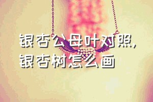 银杏公母叶对照（银杏树怎么画）