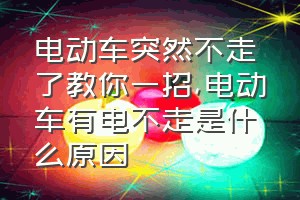 电动车突然不走了教你一招（电动车有电不走是什么原因）