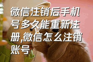 微信注销后手机号多久能重新注册（微信怎么注销账号）