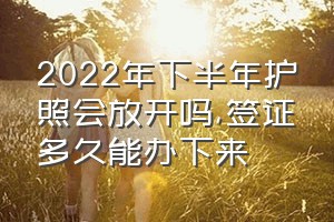 2022年下半年护照会放开吗（签证多久能办下来）