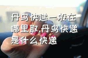 丹鸟快递一般在哪里取（丹鸟快递是什么快递）