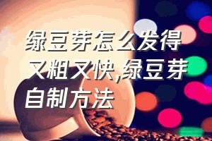 绿豆芽怎么发得又粗又快（绿豆芽自制方法）