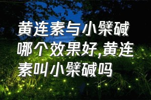 黄连素与小檗碱哪个效果好（黄连素叫小檗碱吗）