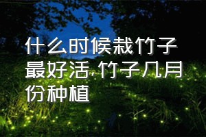 什么时候栽竹子最好活（竹子几月份种植）