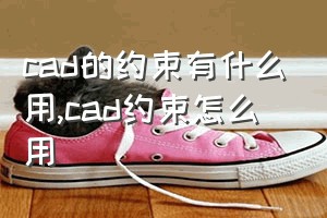 cad的约束有什么用（cad约束怎么用）