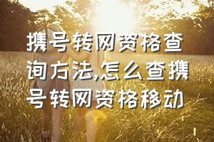 携号转网资格查询方法（怎么查携号转网资格移动）