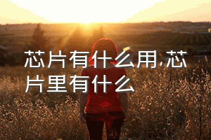 芯片有什么用（芯片里有什么）