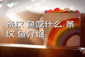 条纹躄鱼吃什么（条纹躄鱼介绍）