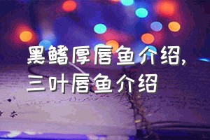 黑鳍厚唇鱼介绍（三叶唇鱼介绍）