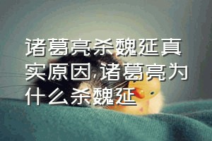 诸葛亮杀魏延真实原因（诸葛亮为什么杀魏延）