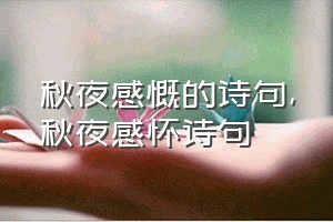 秋夜感慨的诗句（秋夜感怀诗句）