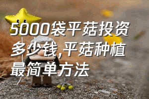 5000袋平菇投资多少钱（平菇种植最简单方法）