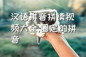 汉语拼音拼读视频大全（圈定的拼音）