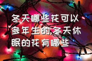 冬天哪些花可以多年生的（冬天休眠的花有哪些）