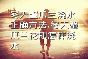 冬天蟹爪兰浇水正确方法（冬天蟹爪兰花期怎样浇水）