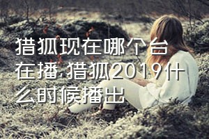 猎狐现在哪个台在播（猎狐2019什么时候播出）