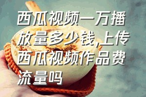 西瓜视频一万播放量多少钱（上传西瓜视频作品费流量吗）