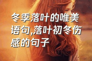 冬季落叶的唯美语句（落叶初冬伤感的句子）