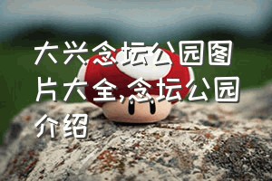 大兴念坛公园图片大全（念坛公园介绍）