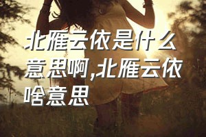 北雁云依是什么意思啊（北雁云依啥意思）