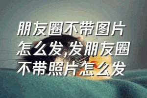 朋友圈不带图片怎么发（发朋友圈不带照片怎么发）